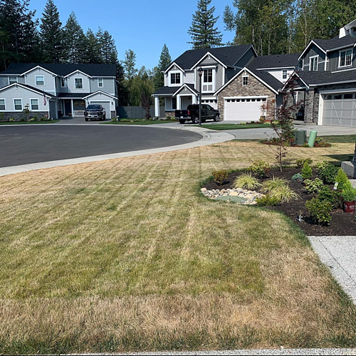 A lawn in Puyallup, WA