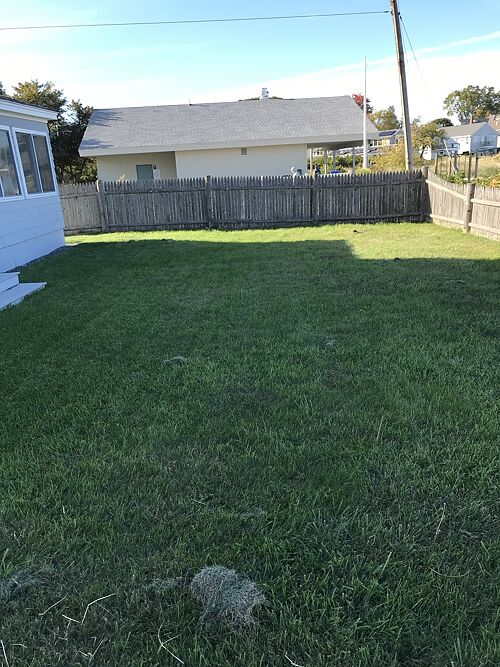 A lawn in South Portland, ME