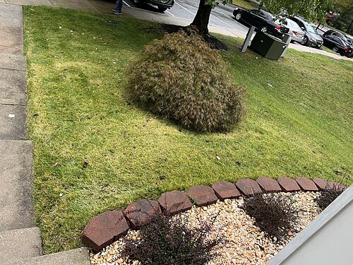 A lawn in Columbia, MD