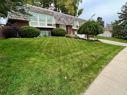 A lawn in IA