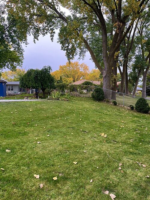 A lawn in IA