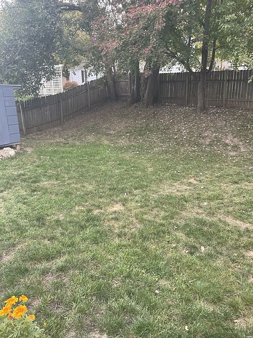 A lawn in Des Moines, IA