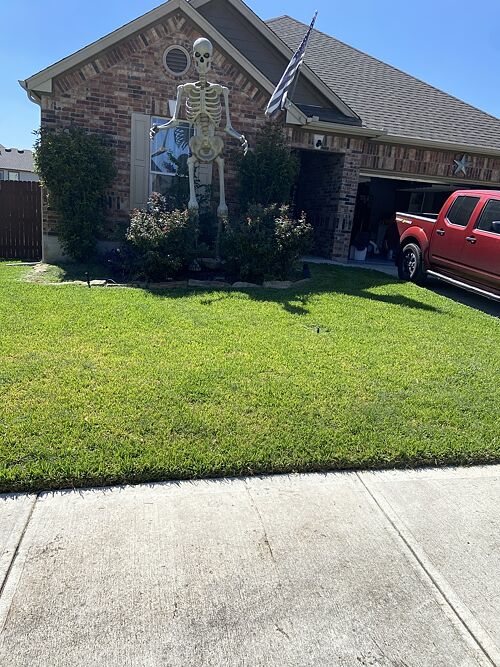 A lawn in Georgetown, TX