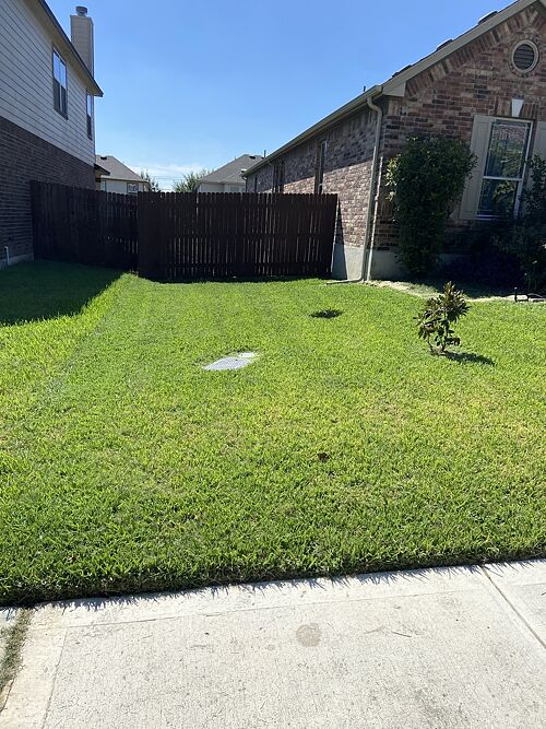 A lawn in Georgetown, TX