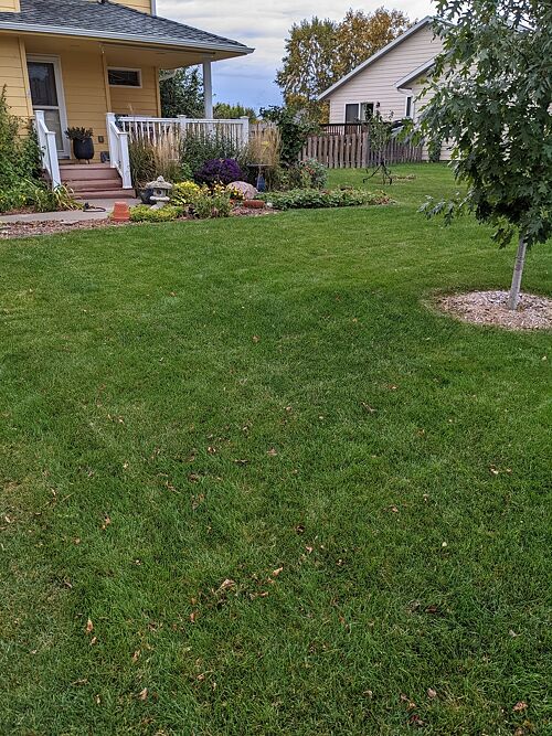 A lawn in Brandon, SD