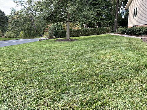 A lawn in Severna Park, MD