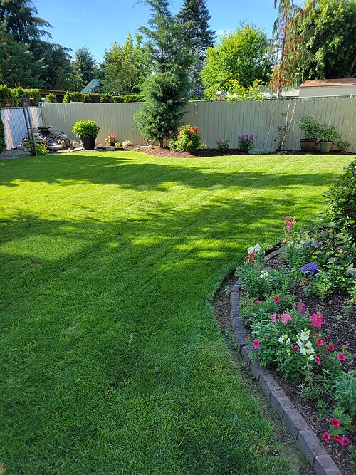 A lawn in WA