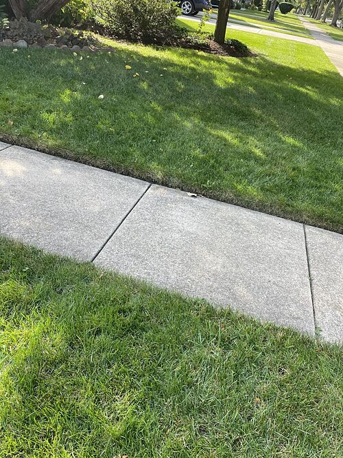 A lawn in LaGrange, IL