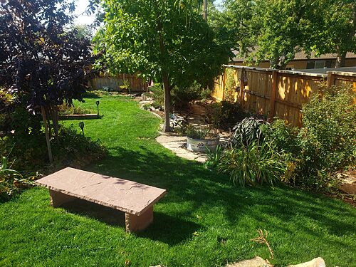 A lawn in Lakewood, CO