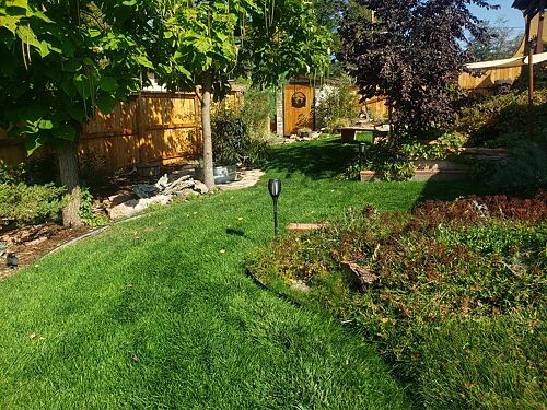 A lawn in Lakewood, CO