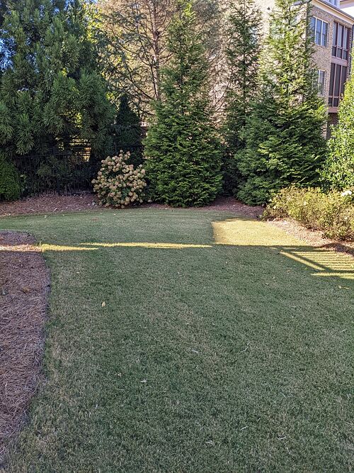 A lawn in GA