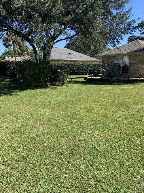 A lawn in Navarre, FL