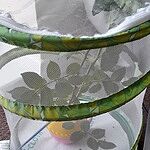 Image of Review by Zara C. on  6 Oct 2022 number 1