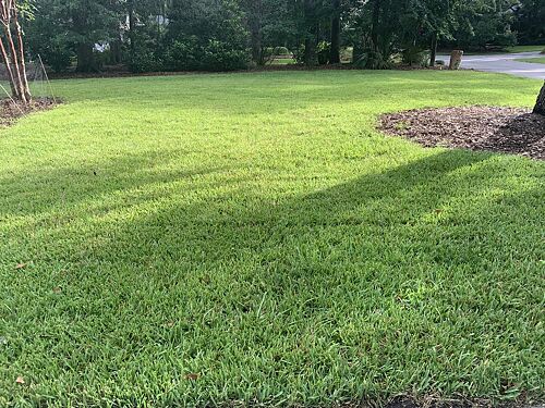 A lawn in Savannah, GA