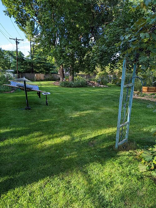 A lawn in Madison, WI
