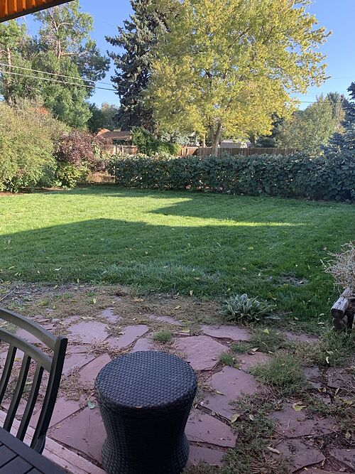 A lawn in Wheat Ridge, CO