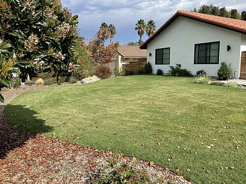 A lawn in San Diego, CA