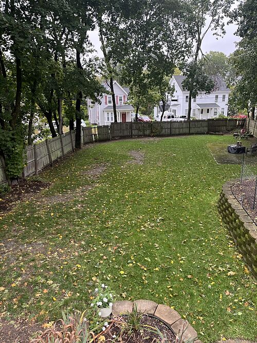 A lawn in MA