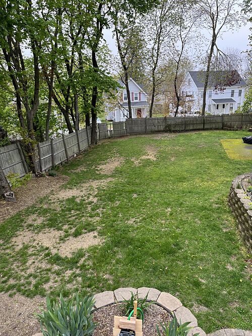 A lawn in MA