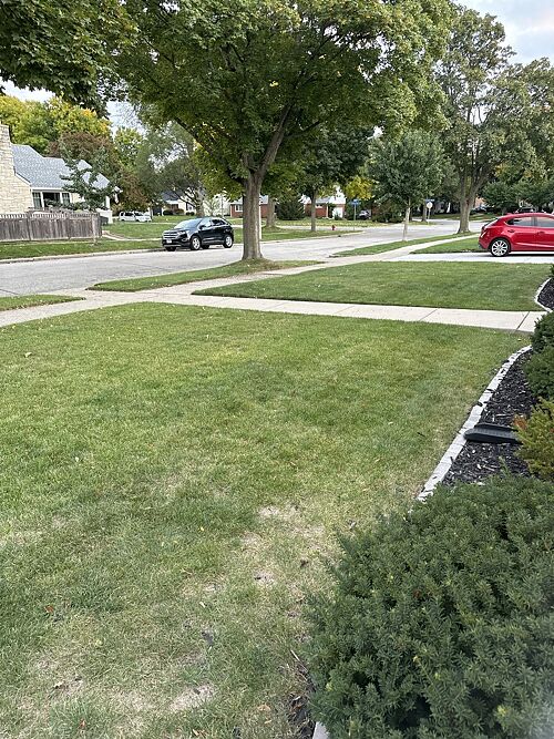 A lawn in Wauwatosa, WI