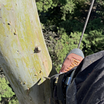 Image of Review by Fernando C. on  8 Oct 2022 number 1