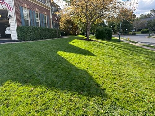 A lawn in Bristow, VA