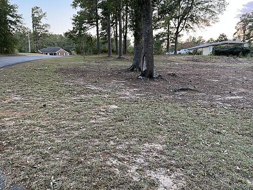 A lawn in North Augusta, SC
