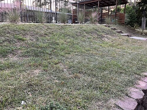 A lawn in North Augusta, SC
