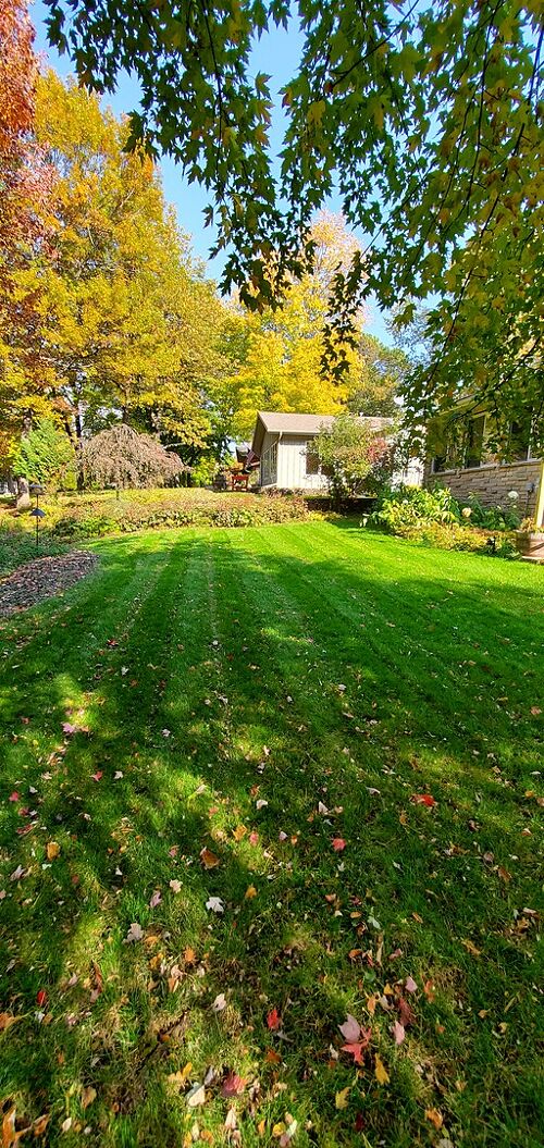 A lawn in WI