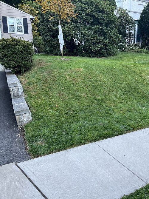 A lawn in West Caldwell, NJ