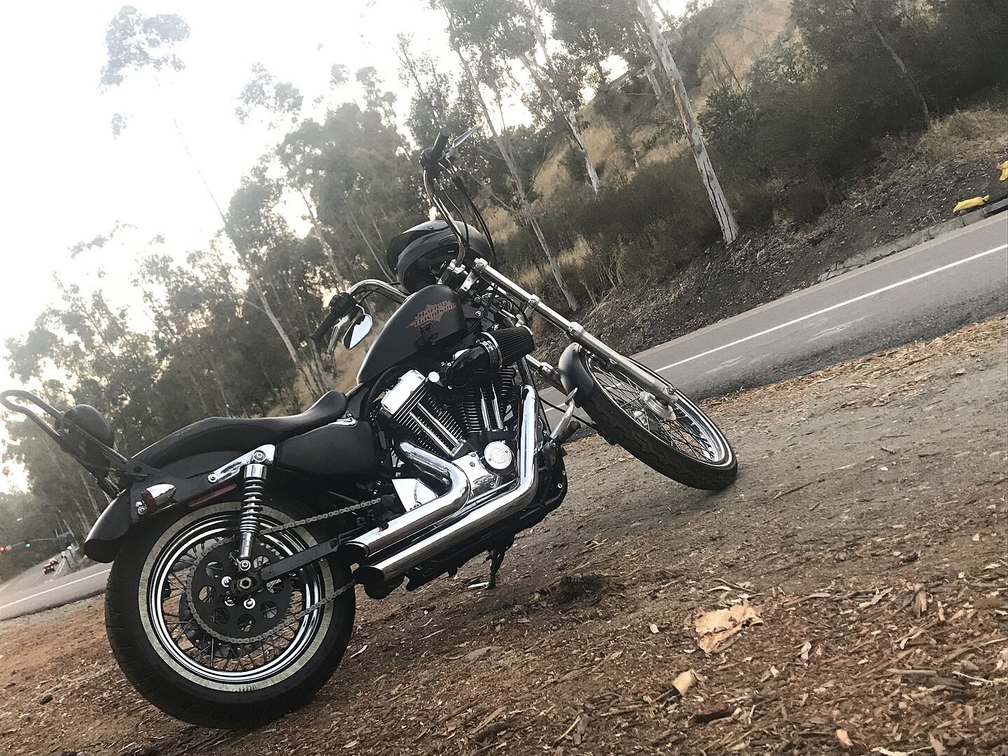 Belt to Chain Conversion Kit Harley 1200 Sportster 2004 & up Black