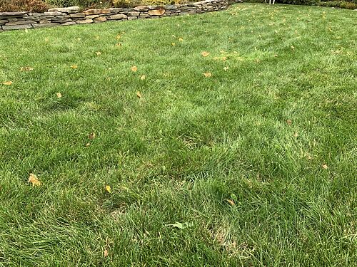 A lawn in Concord Township, OH