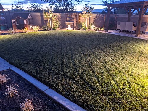 A lawn in CA