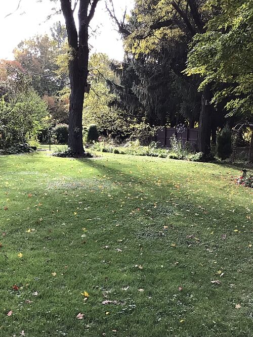A lawn in Northern, IL