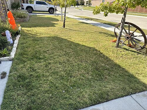 A lawn in Fort Worth, TX