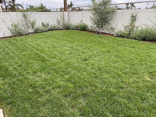 A lawn in Orange County