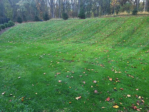A lawn in Howard County, MD