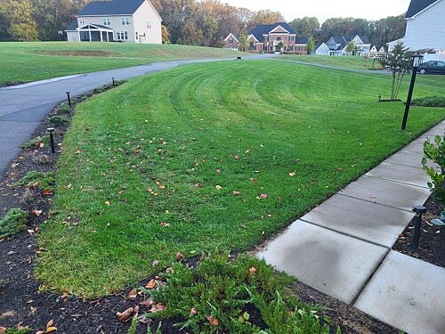 A lawn in Howard County, MD