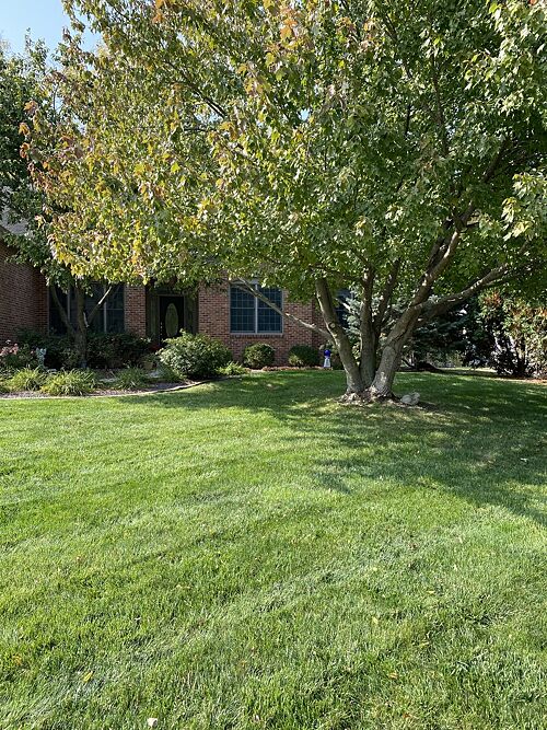 A lawn in IL