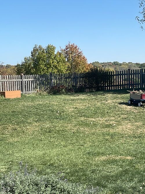 A lawn in IA