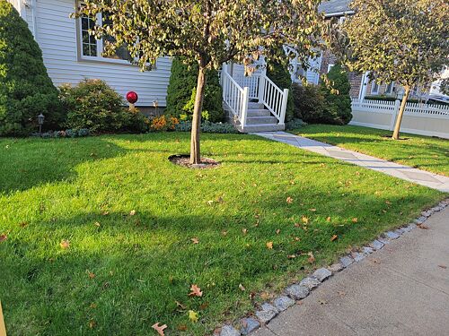 A lawn in Quincy, MA