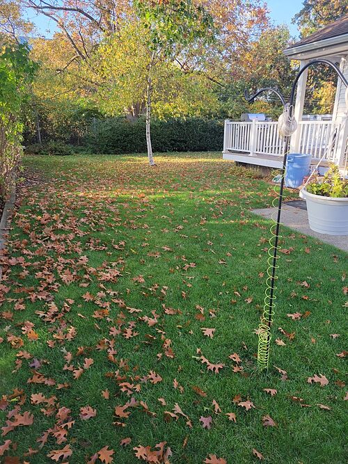 A lawn in Quincy, MA