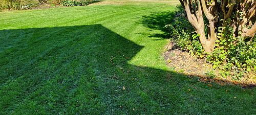 A lawn in Stevensville, MD