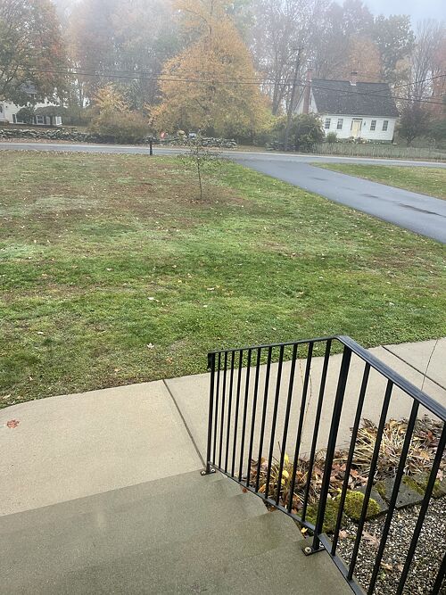 A lawn in CT