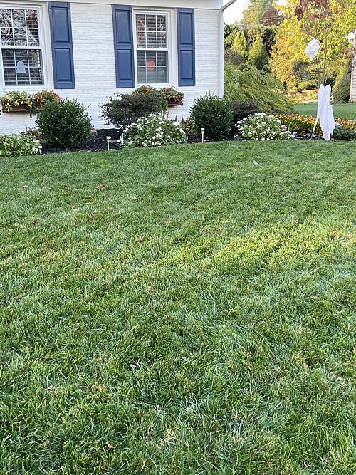 A lawn in Lancaster, PA