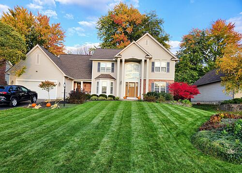 A lawn in Rochester, NY