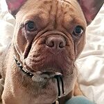 Image of Review by Carolien K. on  3 Nov 2022 number 1