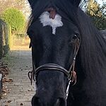Image of Review by E.j.p.a. H. on 28 Nov 2022 number 1