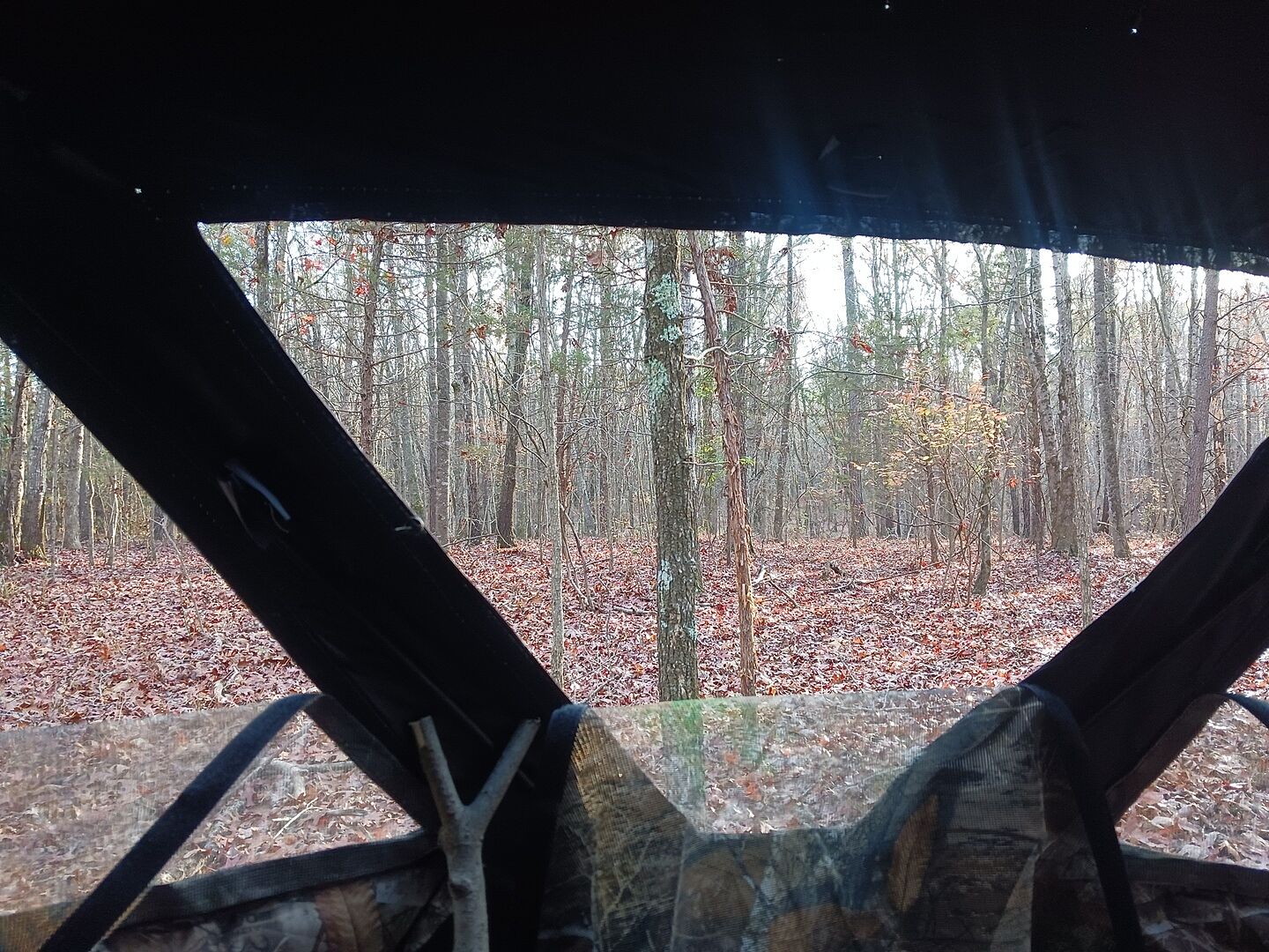 Rhino Blinds R100 Realtree Edge Blind 2Person