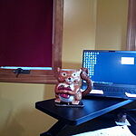 Image of Review by guest-11956320b32a4602872c2eb7c6ec8e2e on 15 Dec 2022 number 1